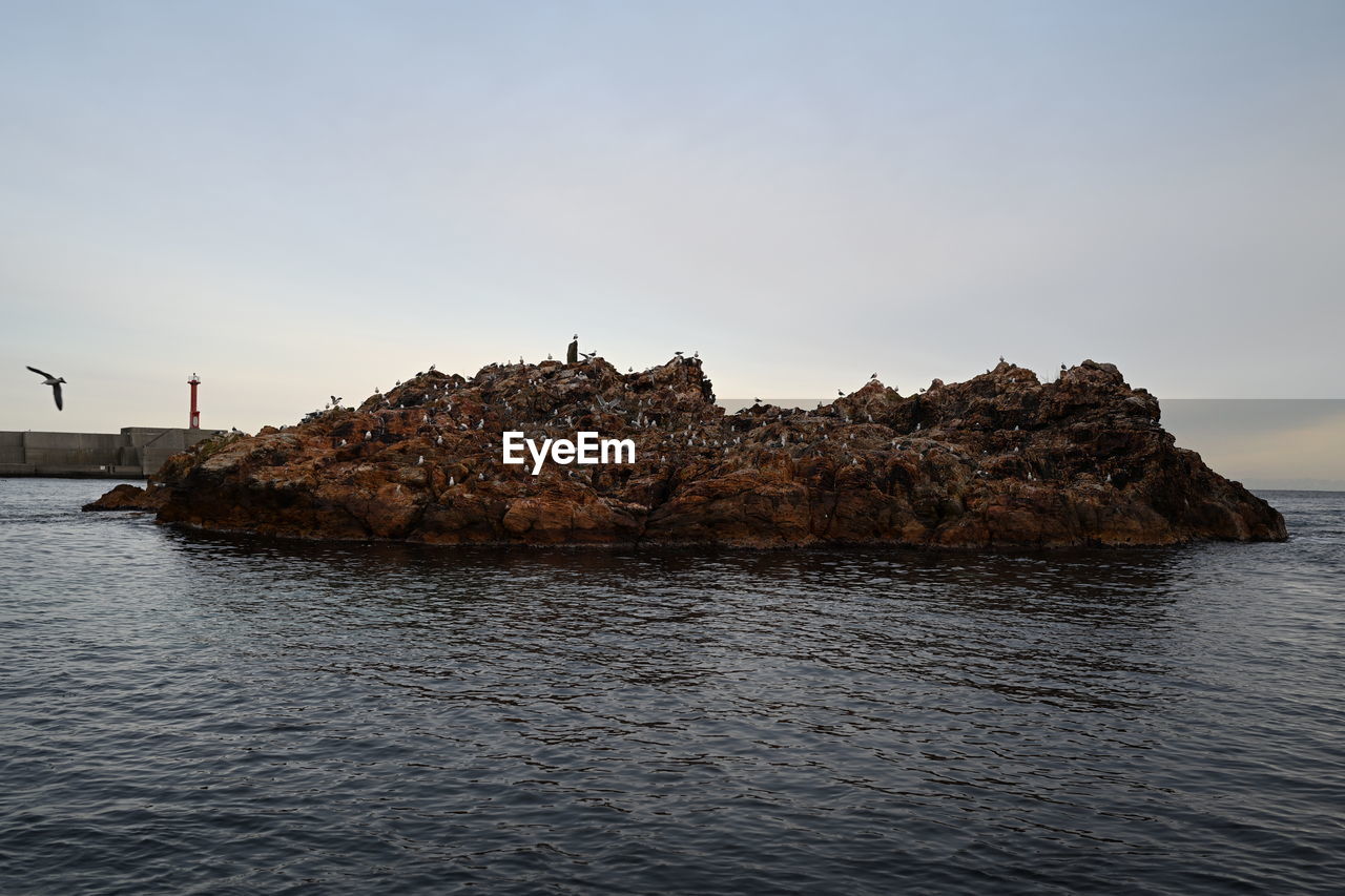 water, sea, sky, rock, ocean, coast, shore, land, horizon, nature, scenics - nature, bay, beach, beauty in nature, wave, tranquility, environment, travel destinations, architecture, tranquil scene, coastline, travel, rock formation, cliff, terrain, dusk, vehicle, no people, outdoors, tower, body of water, non-urban scene, cloud, landscape, built structure, holiday, idyllic, seascape, sunset, trip, vacation, lighthouse, reflection, nautical vessel, animal, transportation, island, day, animal themes, tourism