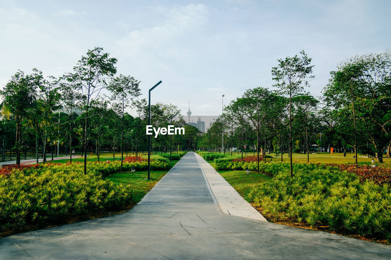 Road amidst plants against sky