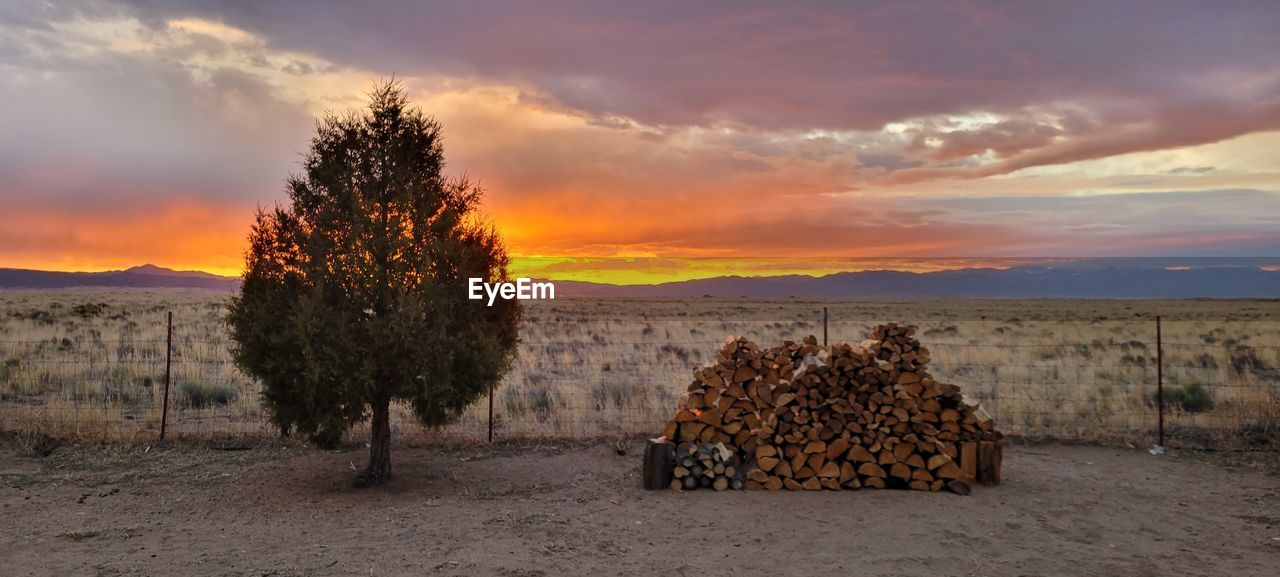 sky, cloud, landscape, environment, plant, sunset, nature, tree, natural environment, scenics - nature, evening, land, wilderness, beauty in nature, dawn, no people, panoramic, tranquility, orange color, tranquil scene, outdoors, mountain, rural scene, dramatic sky, horizon, non-urban scene, sun, field, grass, rural area, travel destinations, sunlight, desert
