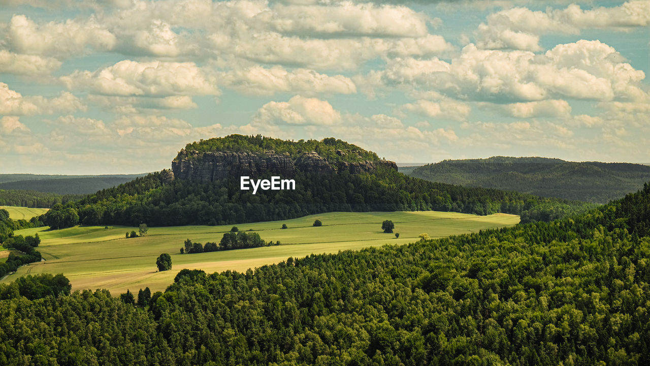 Scenic view of agricultural field against sky