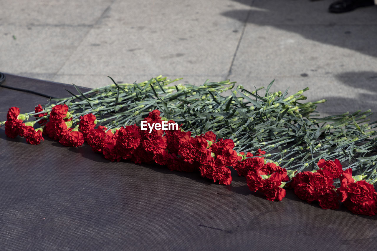 11 m. attempt. attack. 11-m madrid bombings. floral offering at the puerta de atocha station 