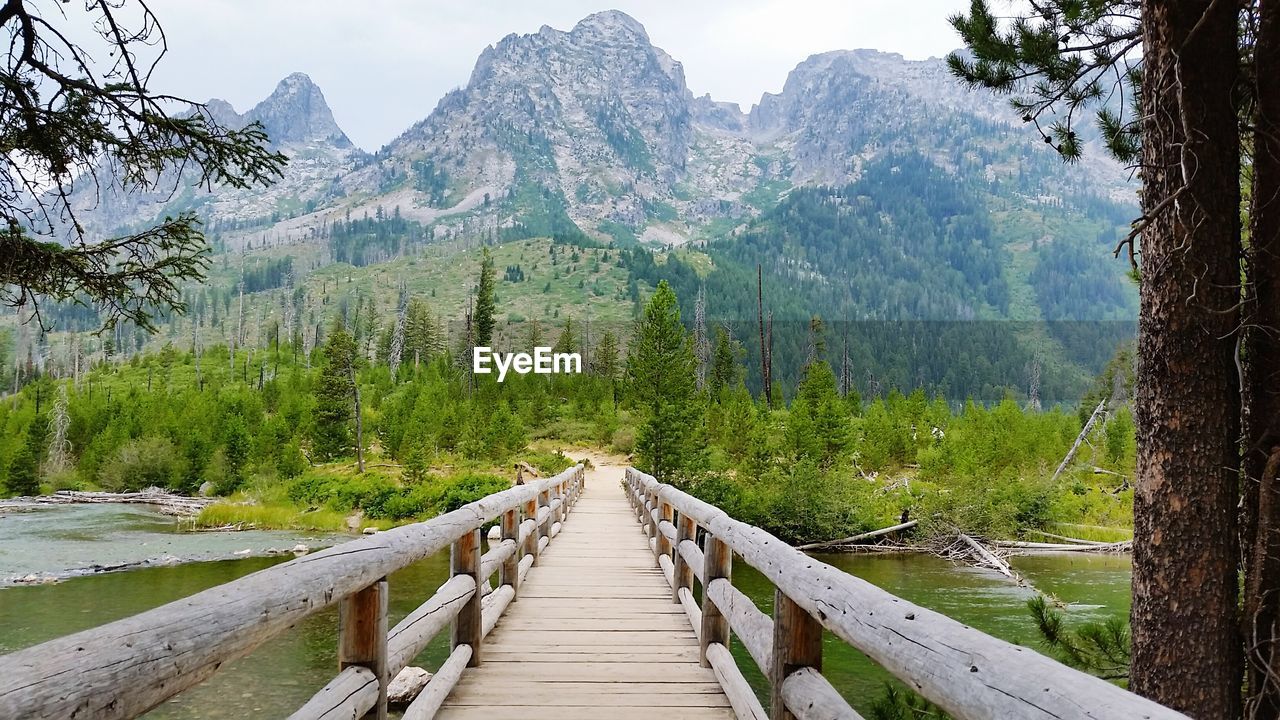 Pier over lake in forest