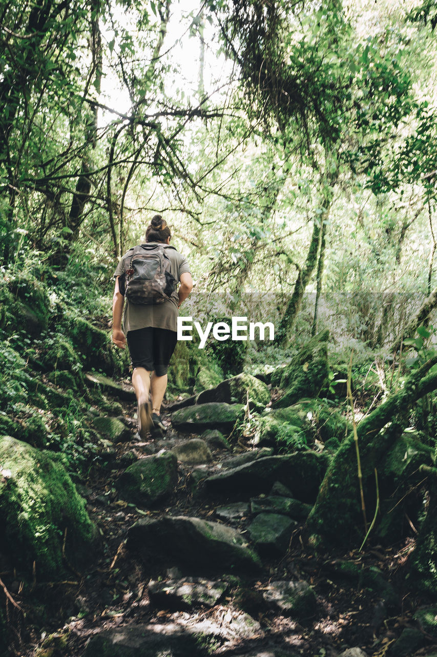 Rear view of woman walking in forest