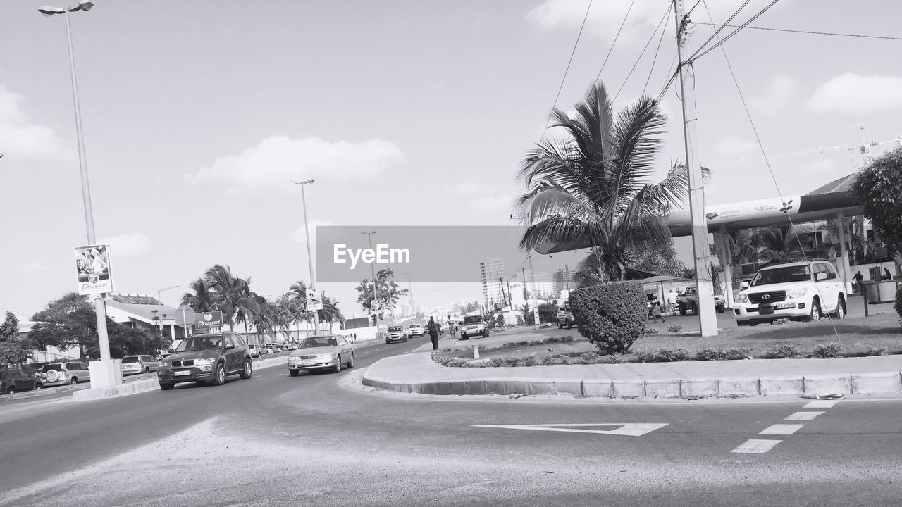 CARS ON ROAD BY PALM TREES AGAINST SKY