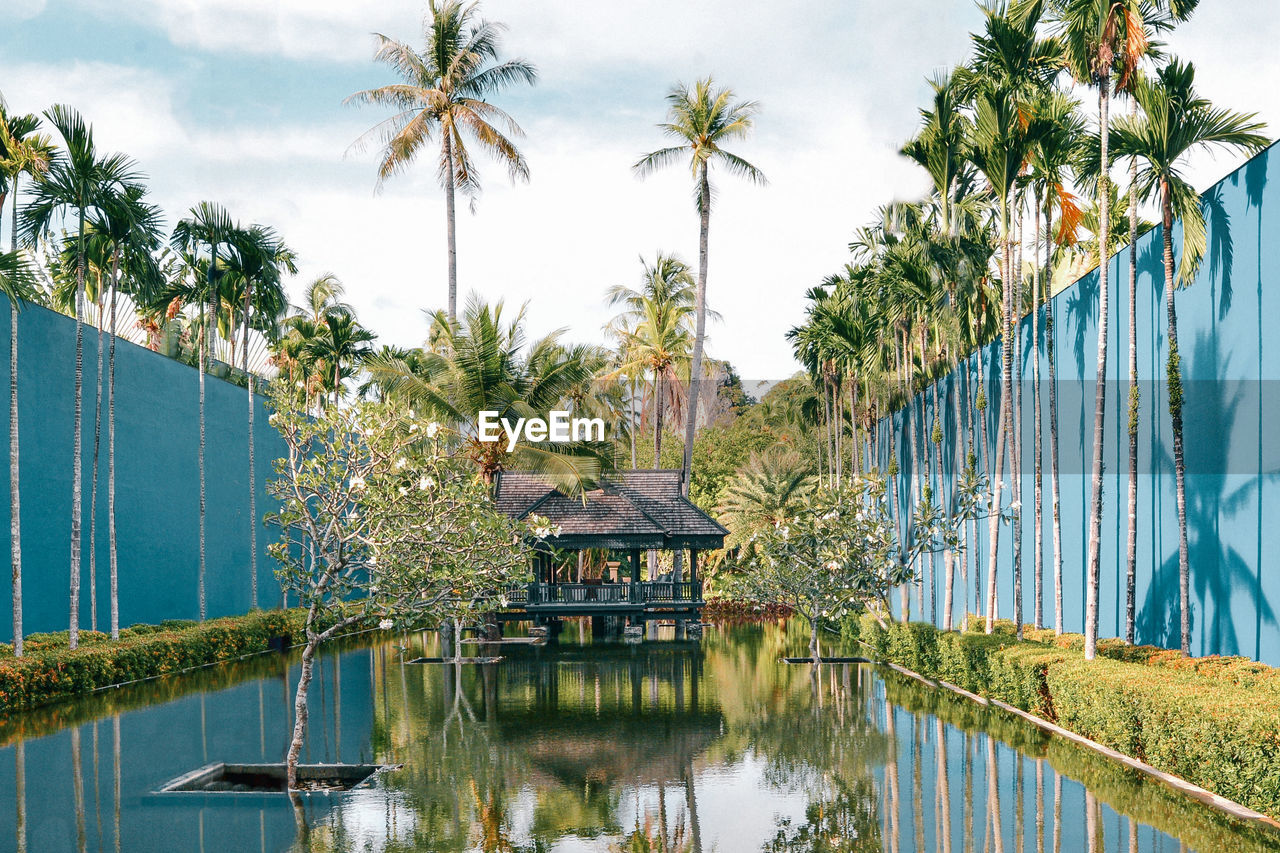 Palm trees by swimming pool against blue perimeter wall