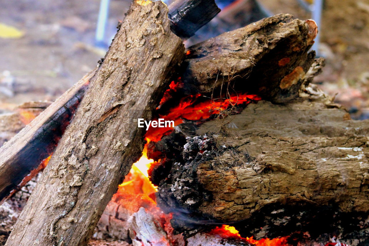 CLOSE-UP OF RED WOOD WITH FIRE