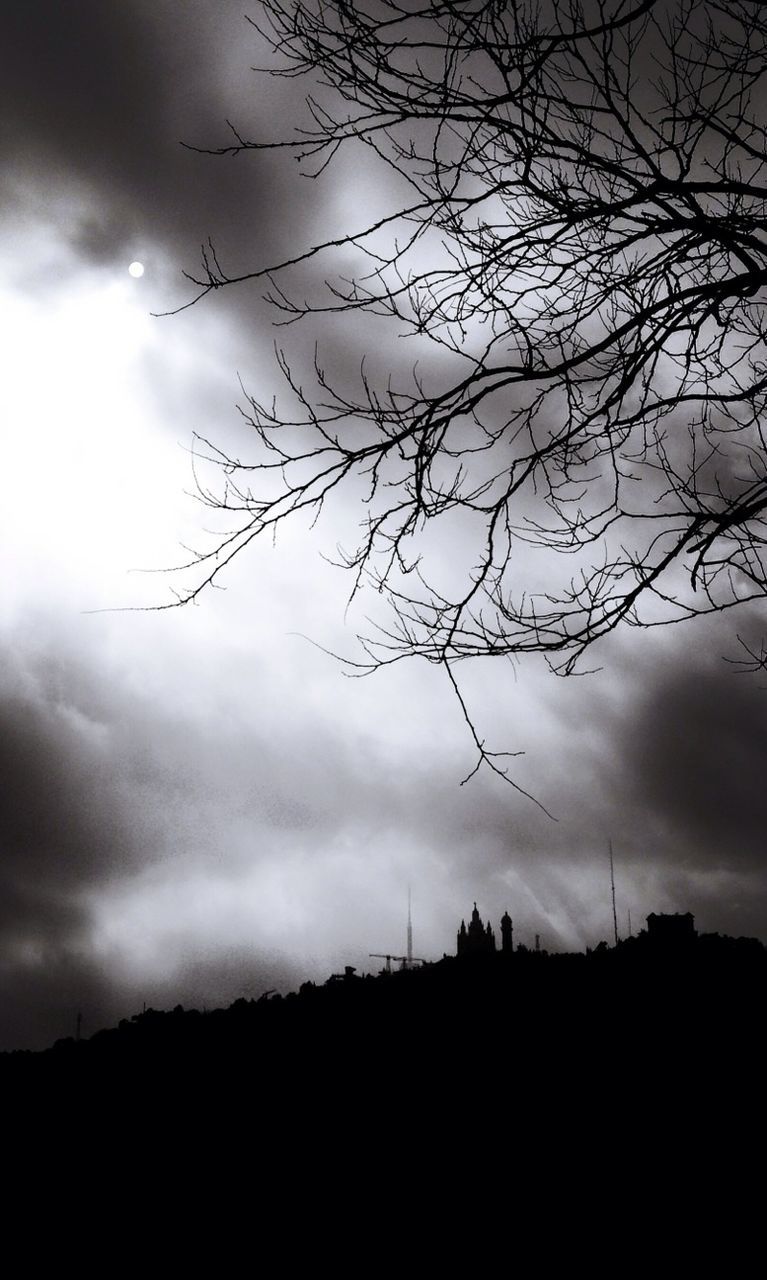 SILHOUETTE OF TREES AGAINST CLOUDY SKY