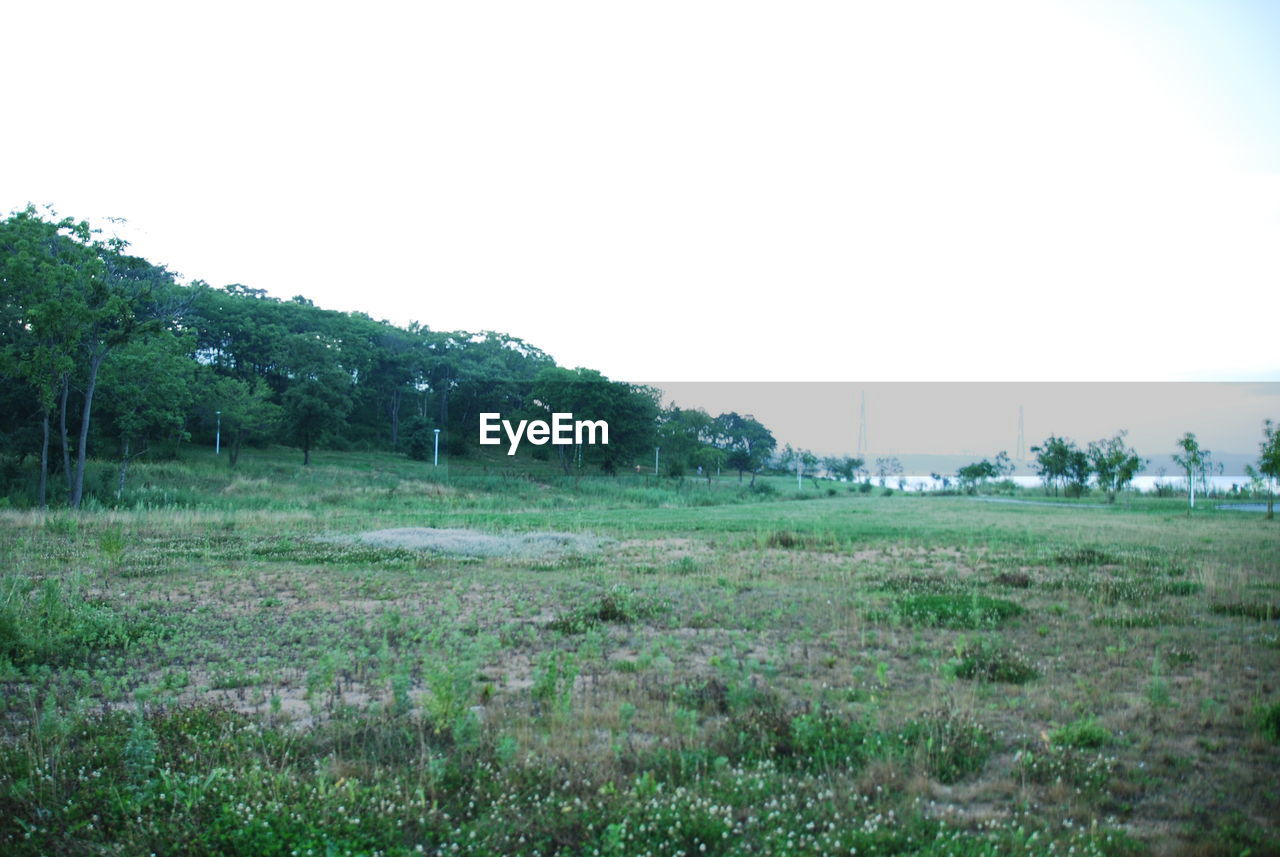 SCENIC VIEW OF LAND AGAINST CLEAR SKY