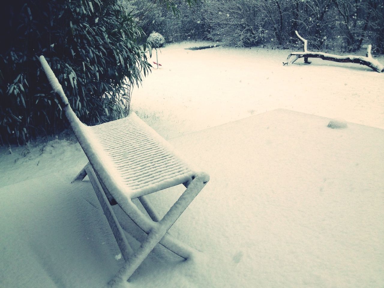 Snow covering bench in park