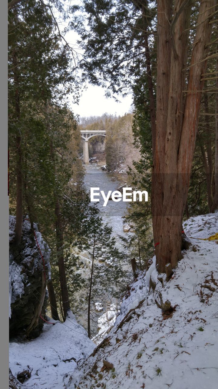 Waterfalls River Bridge Ontario Elora Ontario Elora Wintertime Winter Cold Snow Nature Pinetrees Trees