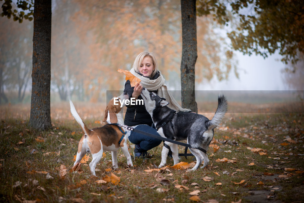 Playful woman with dogs during autumn