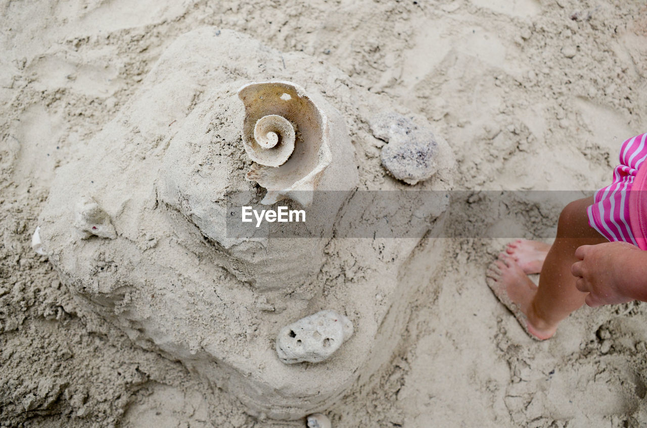 Low section of child on sand