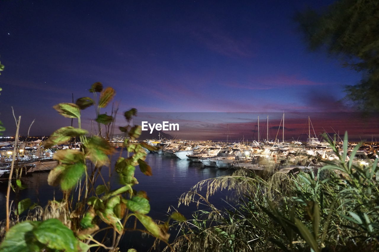 SAILBOATS IN MARINA