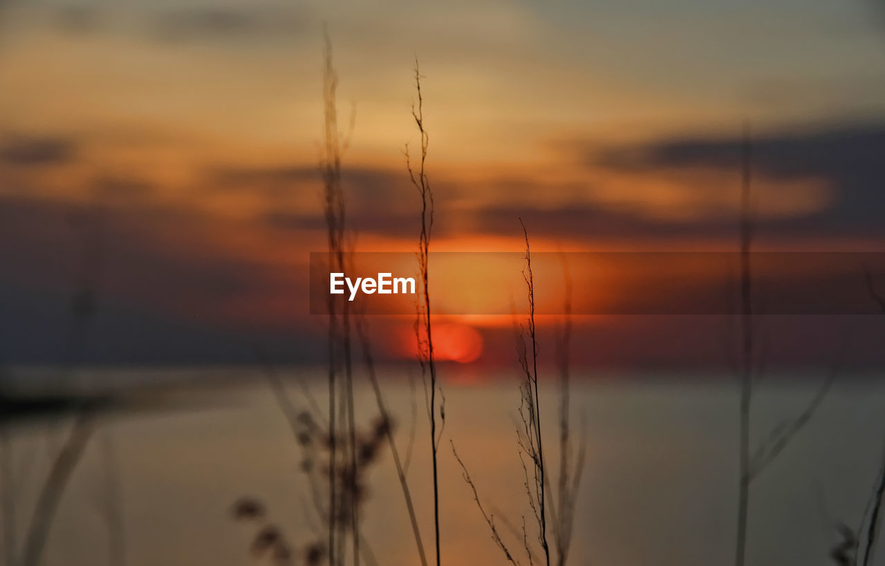Scenic view of sunset sky
