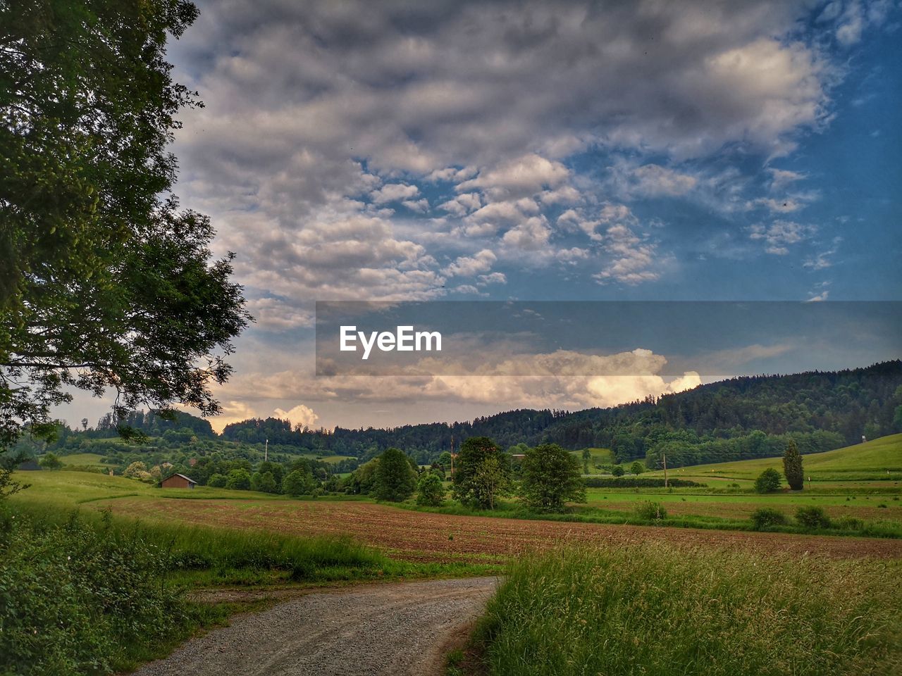 SCENIC VIEW OF DIRT ROAD AGAINST SKY