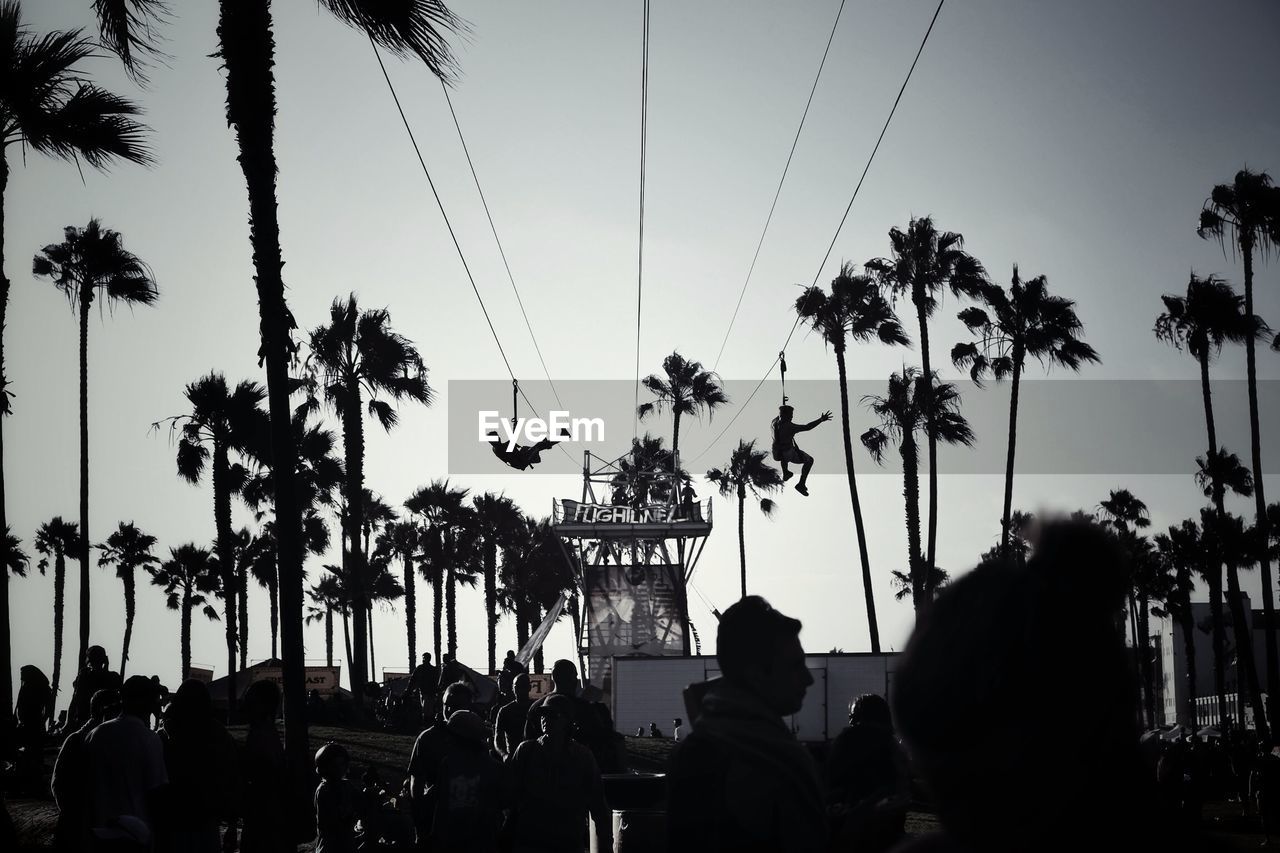 LOW ANGLE VIEW OF SILHOUETTE PALM TREES AGAINST SKY