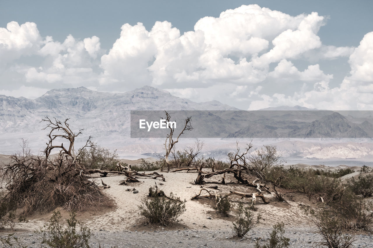 Scenic view of desert against sky