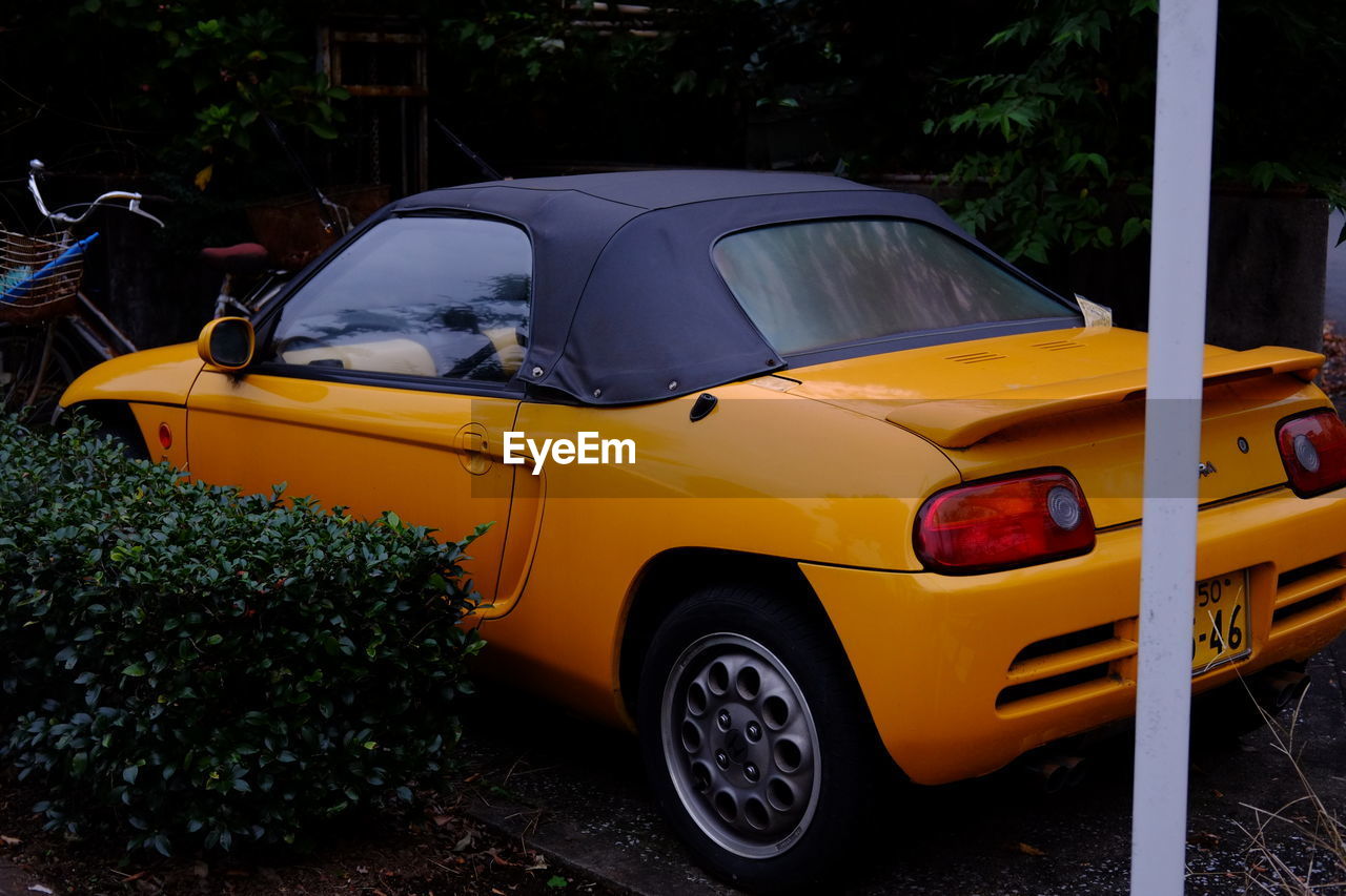 VIEW OF YELLOW CAR PARKED AGAINST TREES