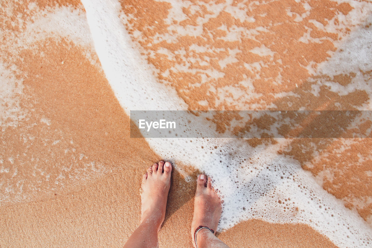 Low section of person standing on shore at beach