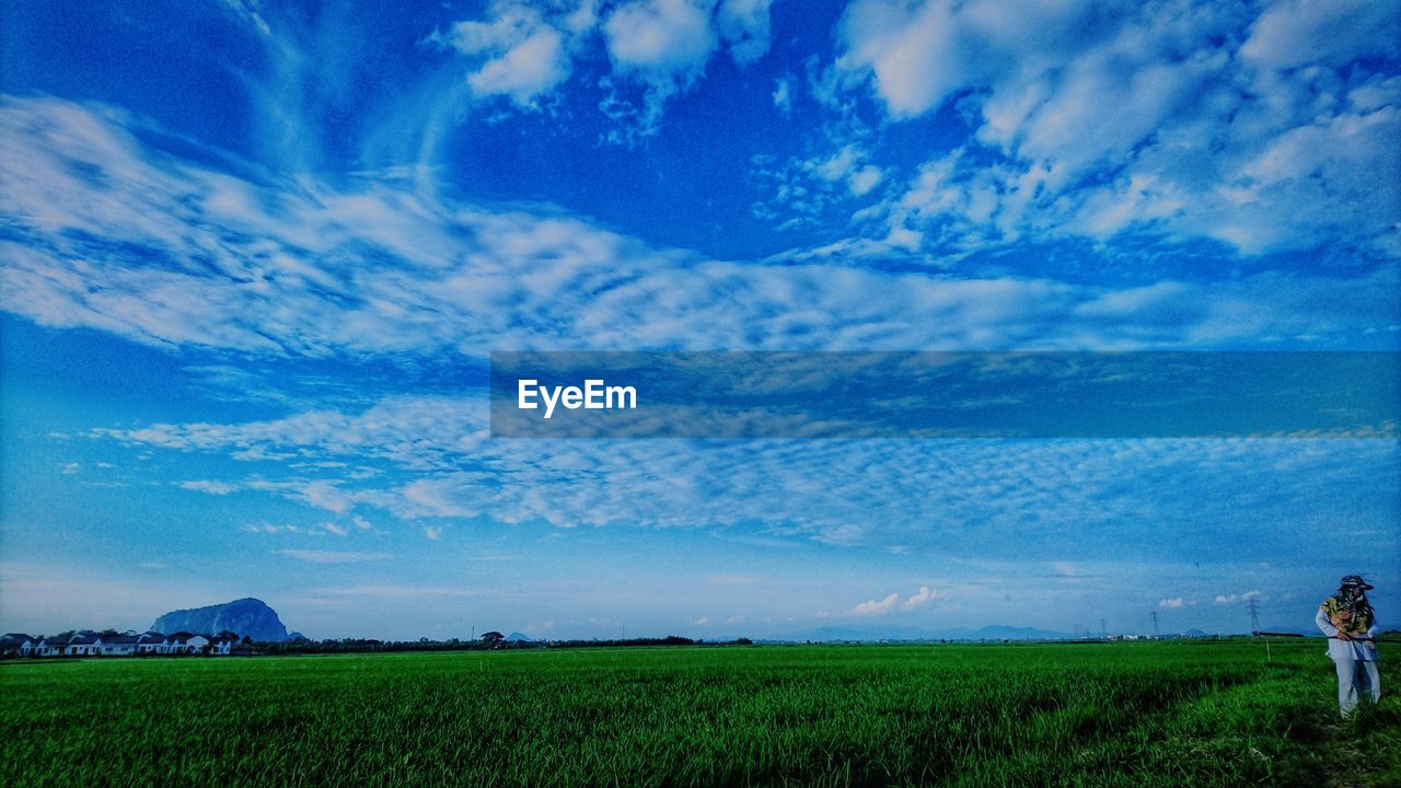 SCENIC VIEW OF FARM AGAINST SKY