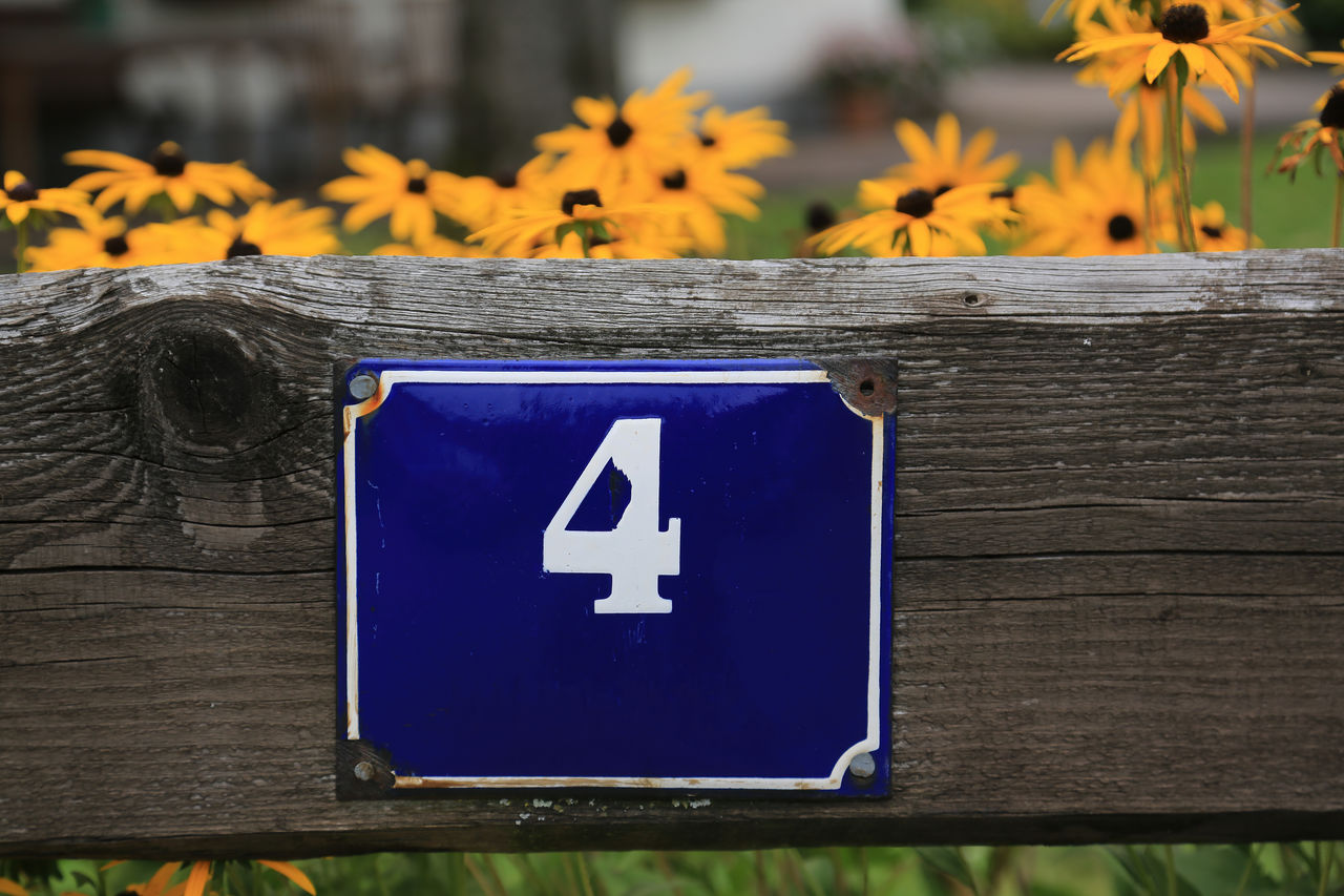 yellow, blue, flower, communication, sign, disabled access, no people, nature, plant, wood, disabled sign, flowering plant, close-up, outdoors, day, focus on foreground, symbol, leaf, number