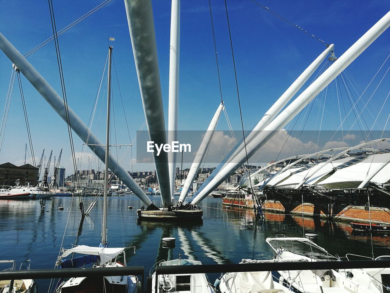 Sailboats in sea against clear blue sky