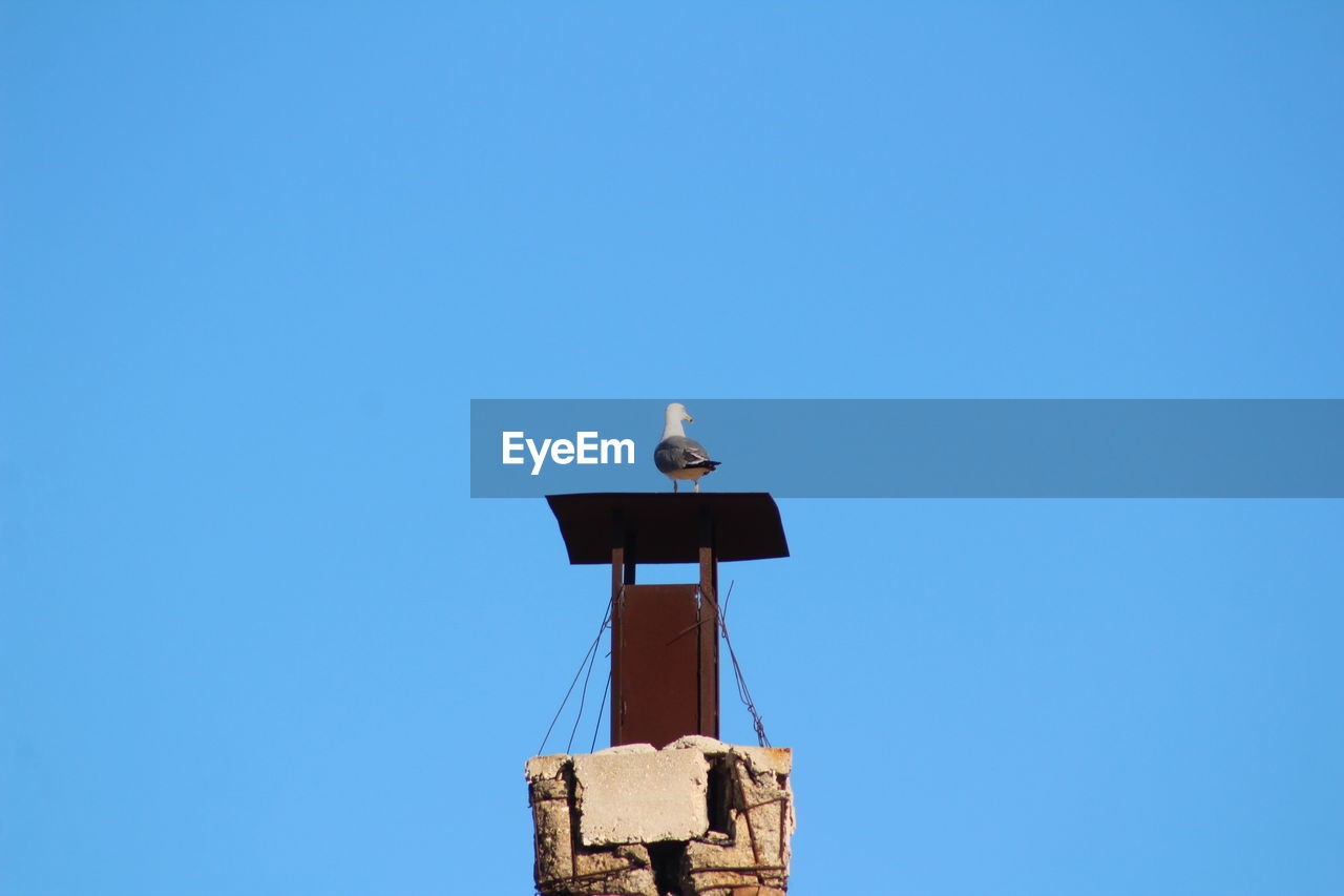 Low angle view of weather vane against clear blue sky