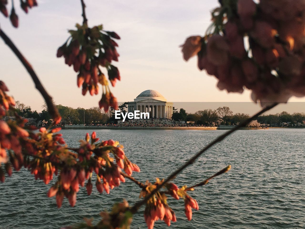 Jefferson memorial against sky by lake seen through branch