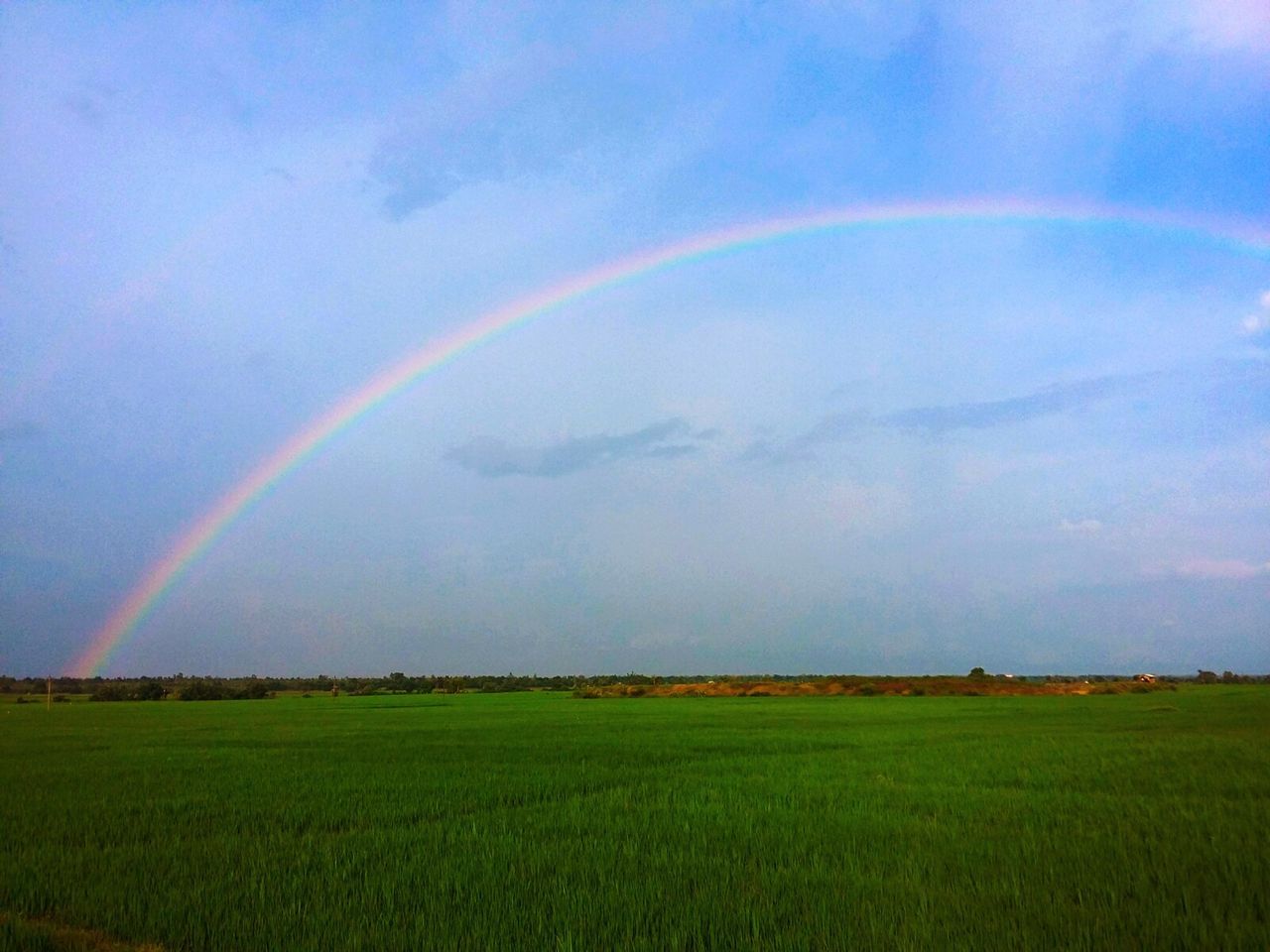 RAINBOW OVER FIELD AGAINST SKY