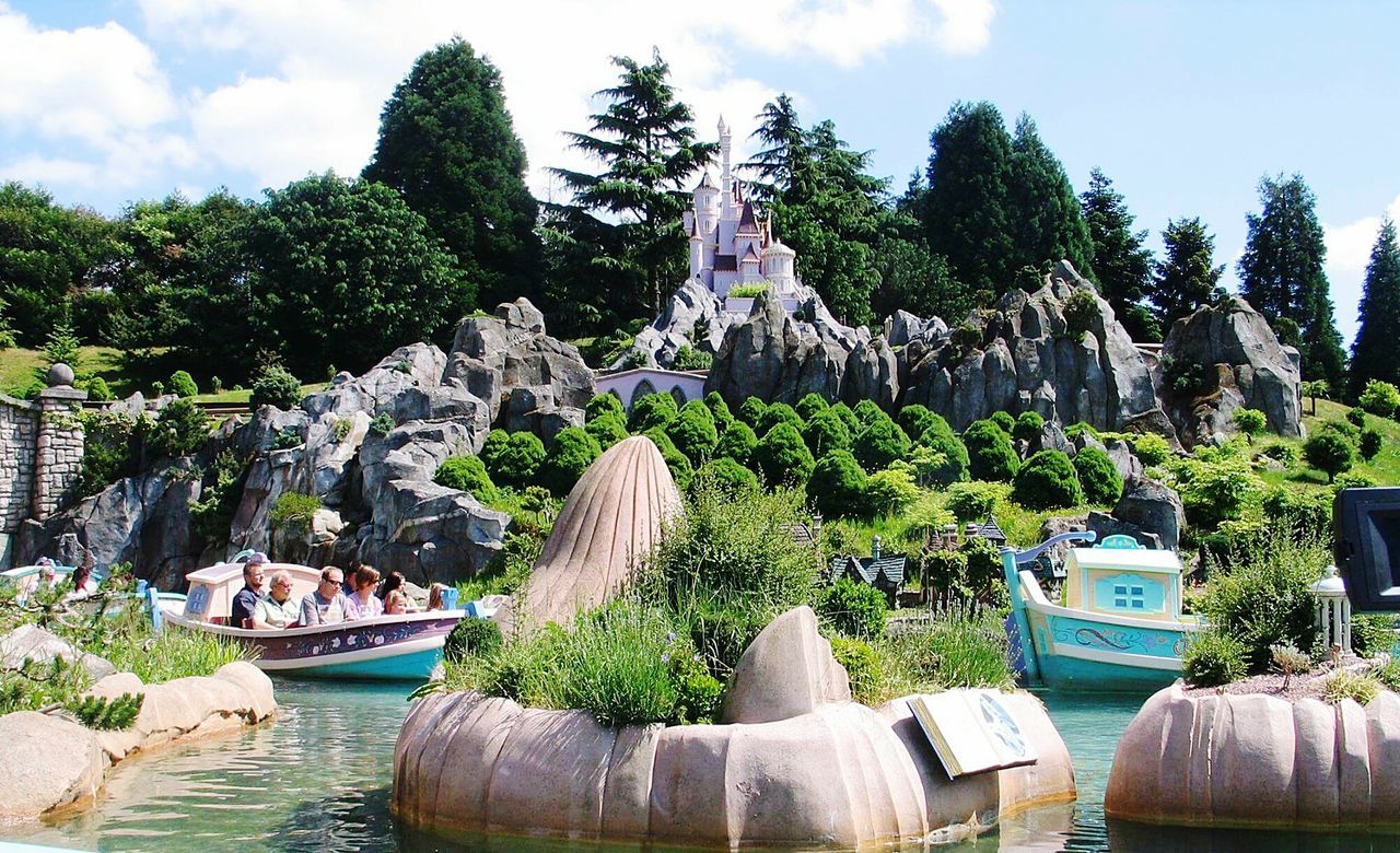 PANORAMIC VIEW OF TREES IN A GARDEN