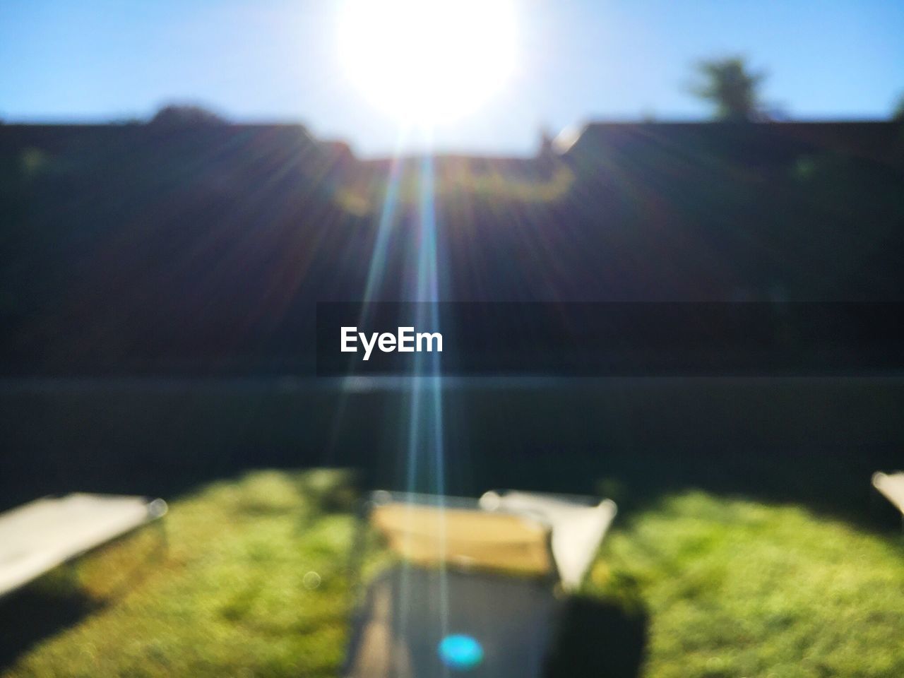 CLOSE-UP OF GRASS AGAINST SKY