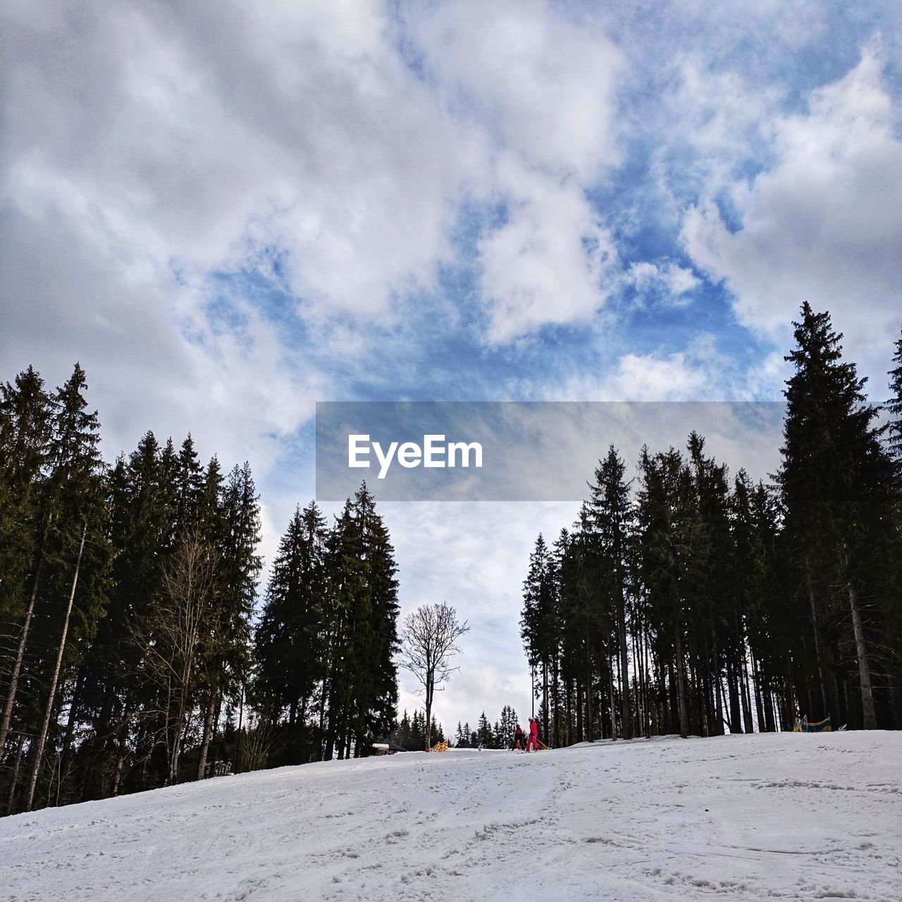 SNOW COVERED LAND AGAINST SKY