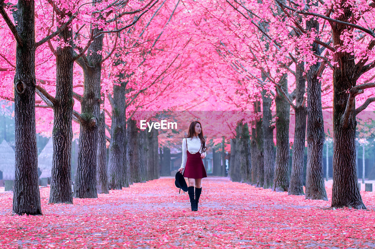 Young woman looking away while walking on field amidst cherry blossom at park