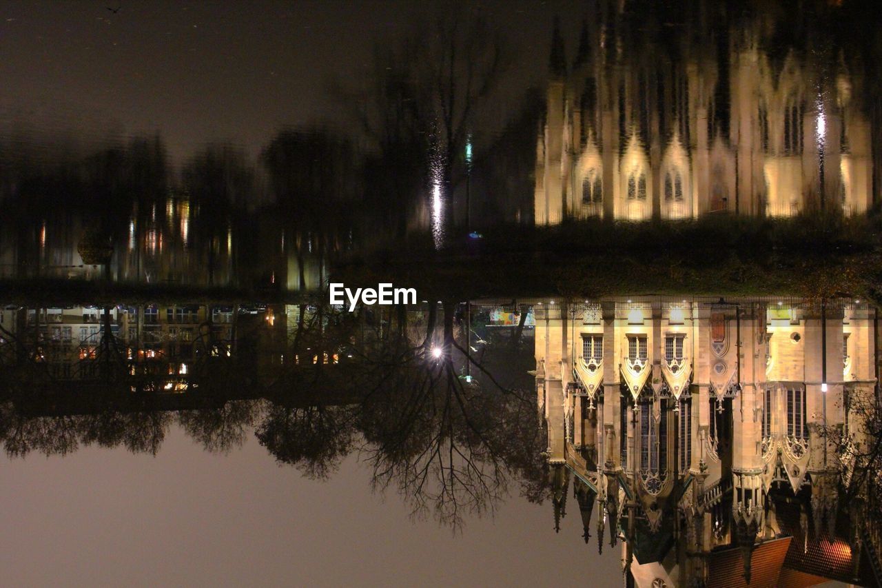 REFLECTION OF TREES IN WATER