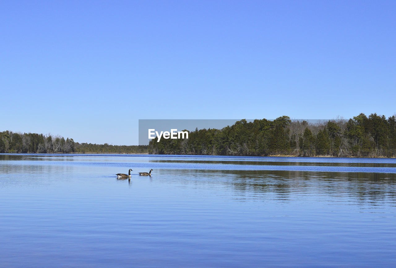 Calm on the lake.