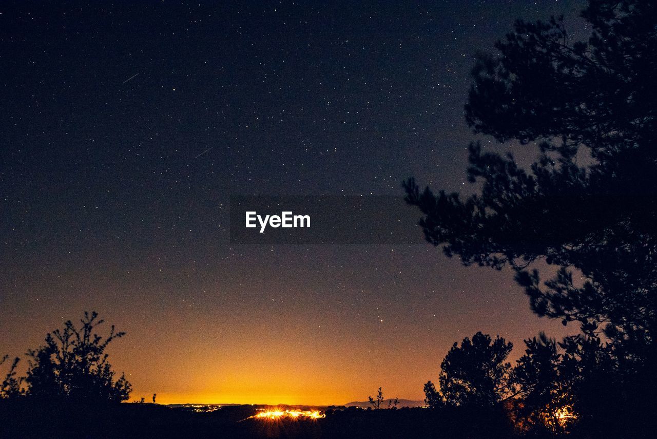 LOW ANGLE VIEW OF SILHOUETTE TREES AGAINST SKY