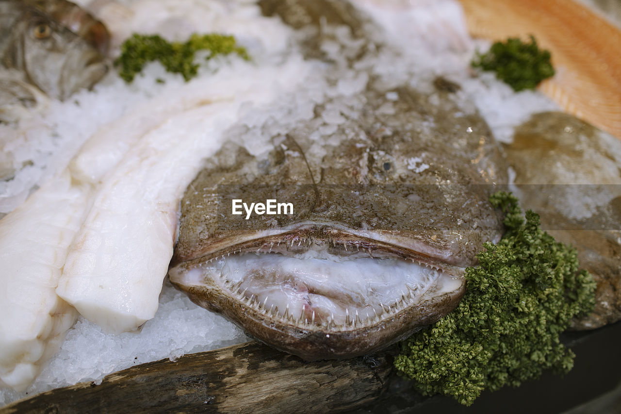 Close-up of fish on the table with ice on the market