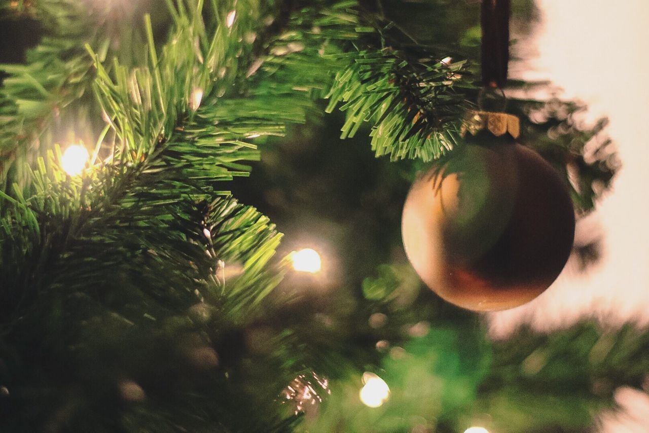 CLOSE-UP OF CHRISTMAS TREE HANGING ON BRANCH