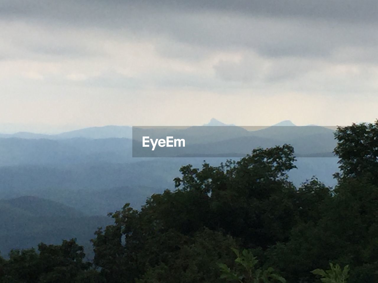 SCENIC VIEW OF TREES ON MOUNTAINS AGAINST SKY
