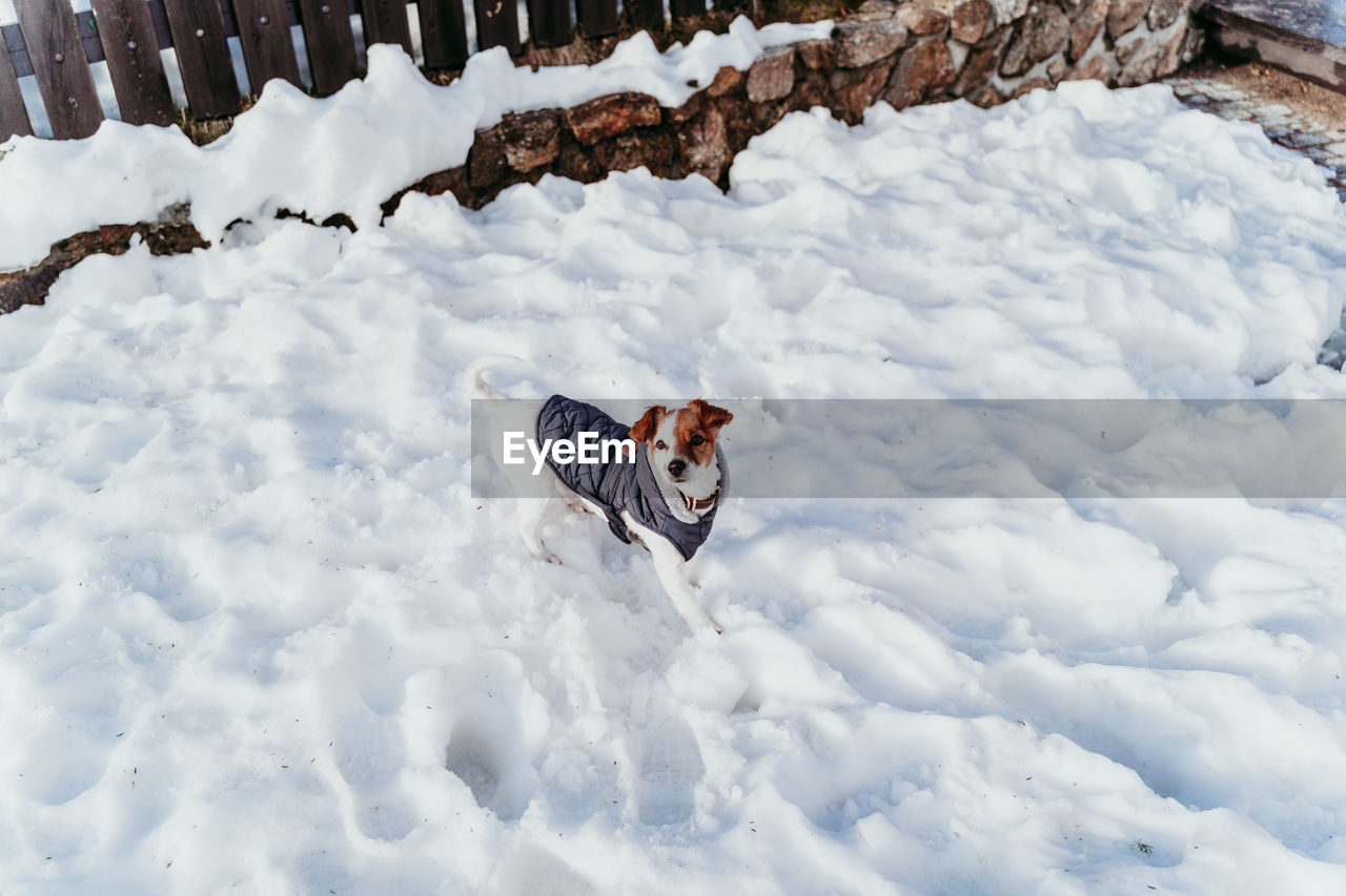 Woman using mobile phone over yellow wall background. technology and winter concept