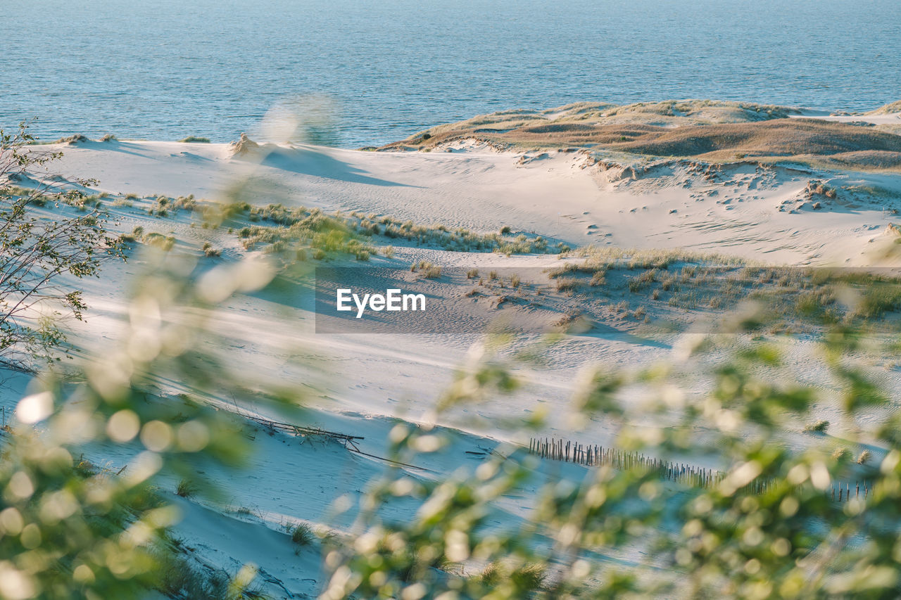 HIGH ANGLE VIEW OF SEA AND PLANTS