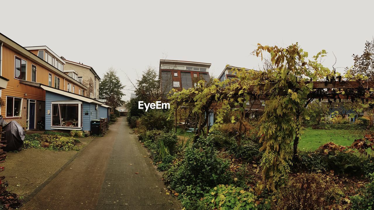 PLANTS BY HOUSES AGAINST CLEAR SKY