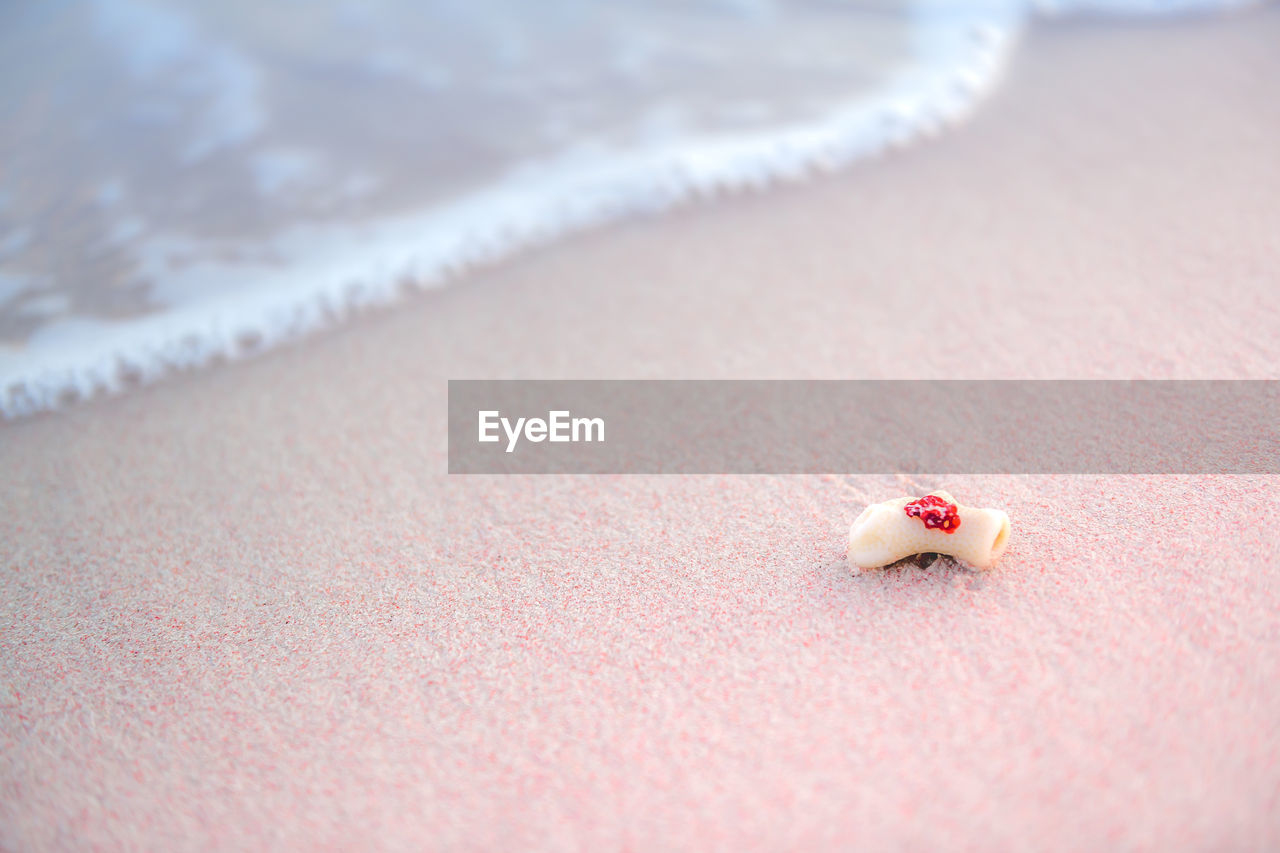 High angle view of insect on sand