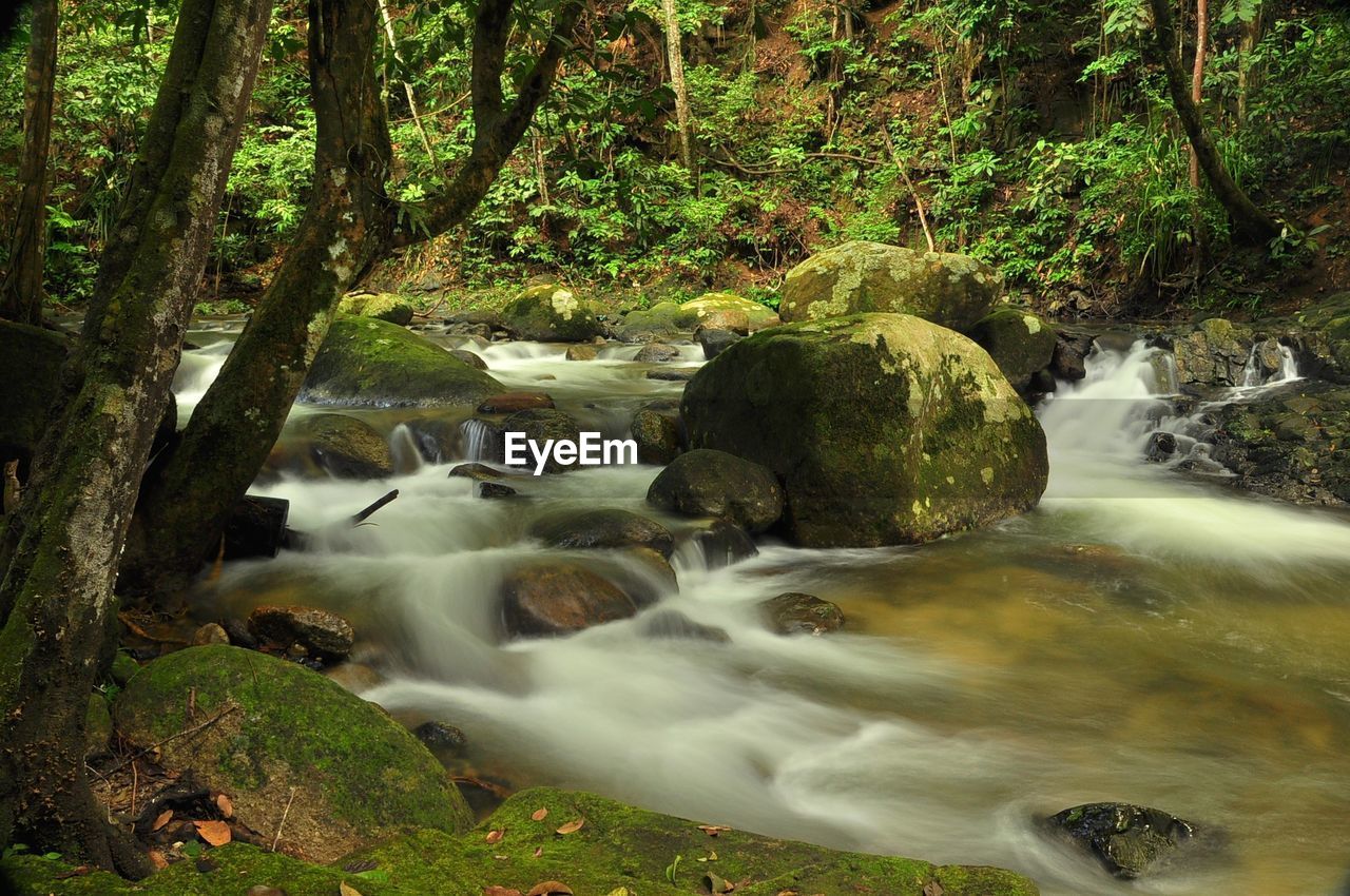 Scenic view of waterfall