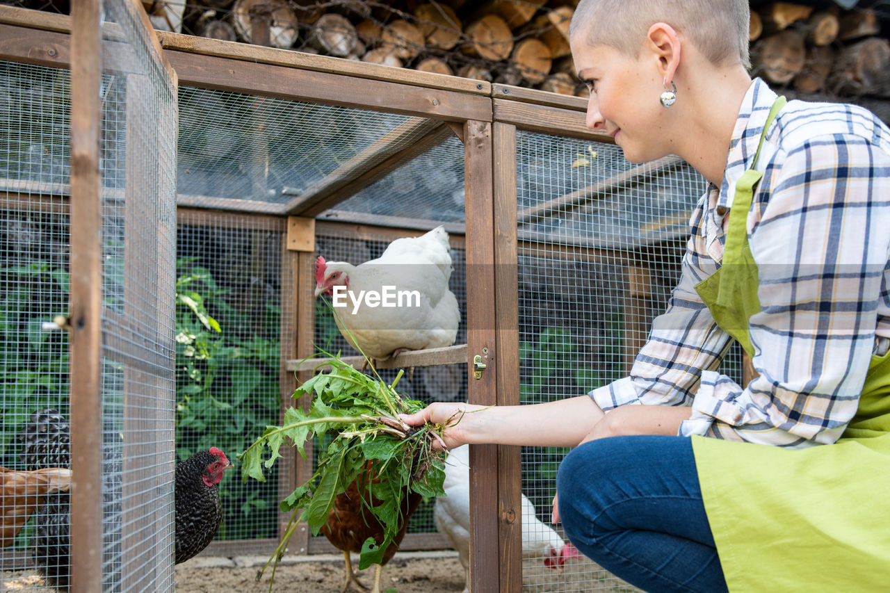 Smiling woman feeding hen in farm