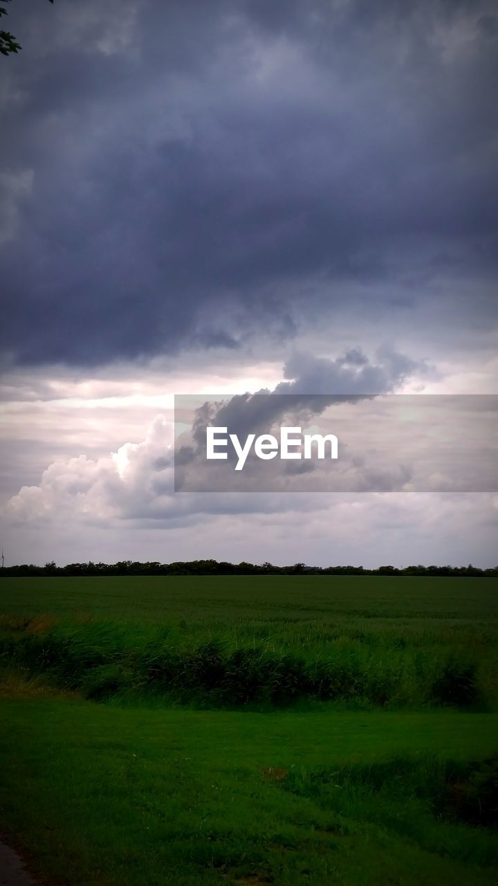 GREEN FIELD AGAINST SKY