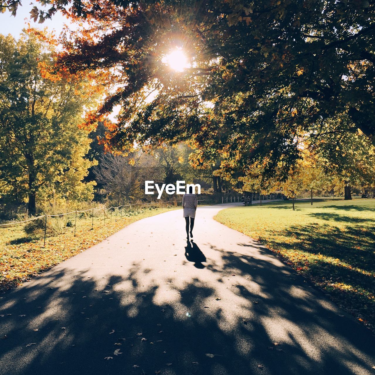 Rear view of woman walking on road at park on sunny day