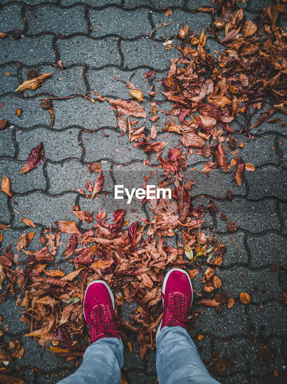 Low section of woman standing on footpath during autumn