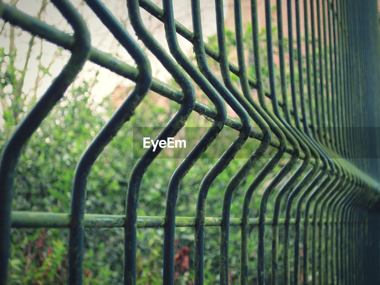 Trees seen through metallic fence