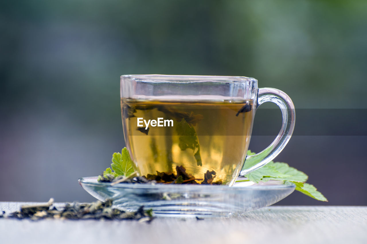 CLOSE-UP OF TEA ON TABLE